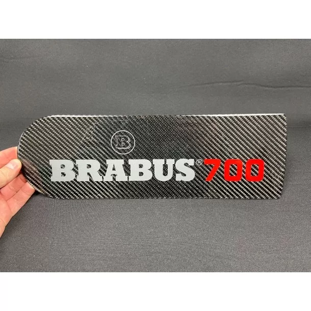  - logo & Emblems - Wkładka emblematu tylnego koła zapasowego z włókna węglowego dla Mercedes-Benz W463 G-Class - 1 - Kup karbon